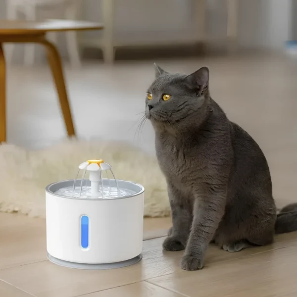 Bebedero de agua para gatos
