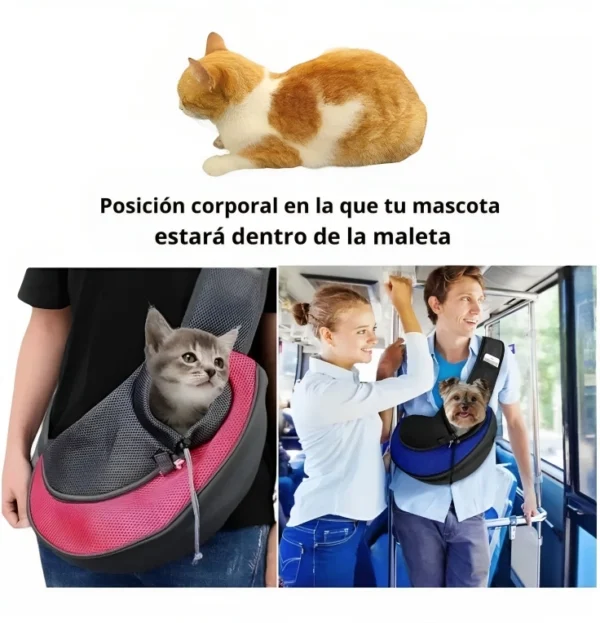 Bolso Canguro para cargar perros pequeños y gatos uso