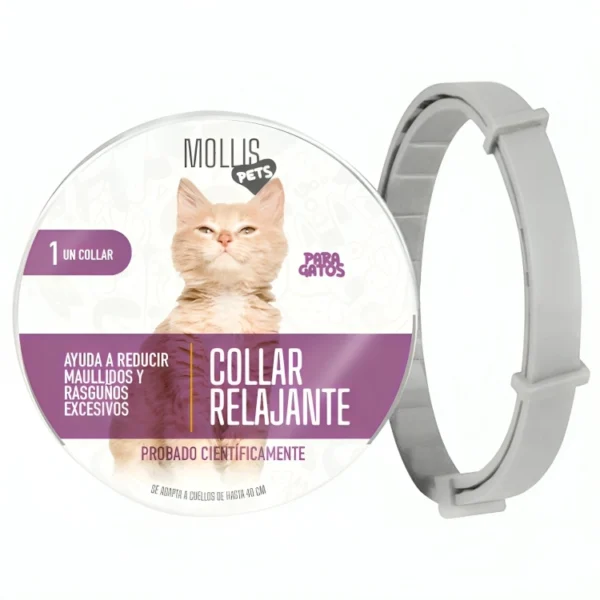 Collar calmante para gatos