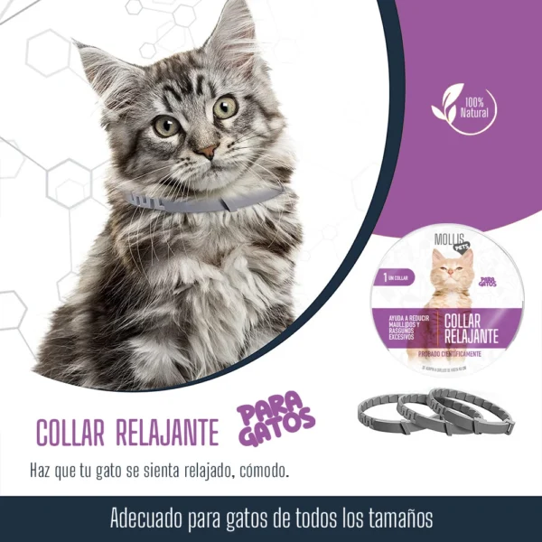 Collar con feromonas para gatos