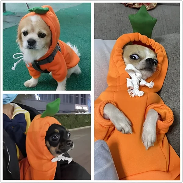 Disfraz de zanahoria para perritos