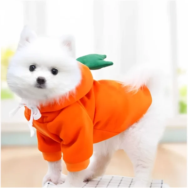 Disfraz de zanahoria para perros y gatos