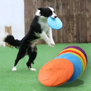 Juguete frisbee disco volador para perros