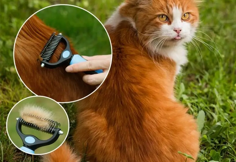 cepillo deslanador para perros y gatos