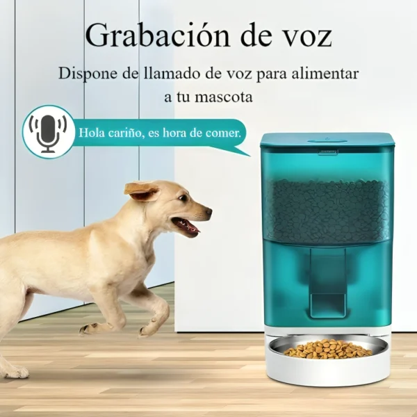 dispensador automatico de comida para mascotas voz