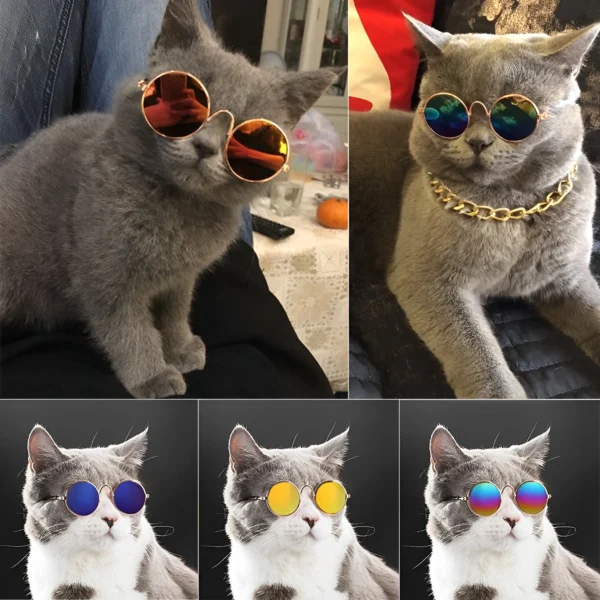 gafas de sol para gatos mascotas grandes y medianas