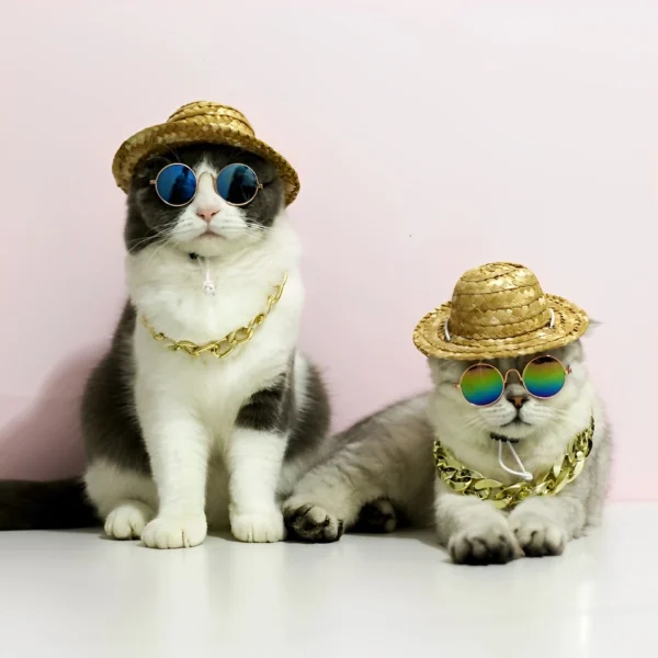 gafas de sol para perros y gatos mascotas grandes y medianas