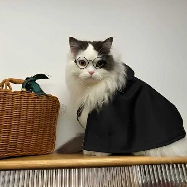gato con disfraz cosplay de harry potter
