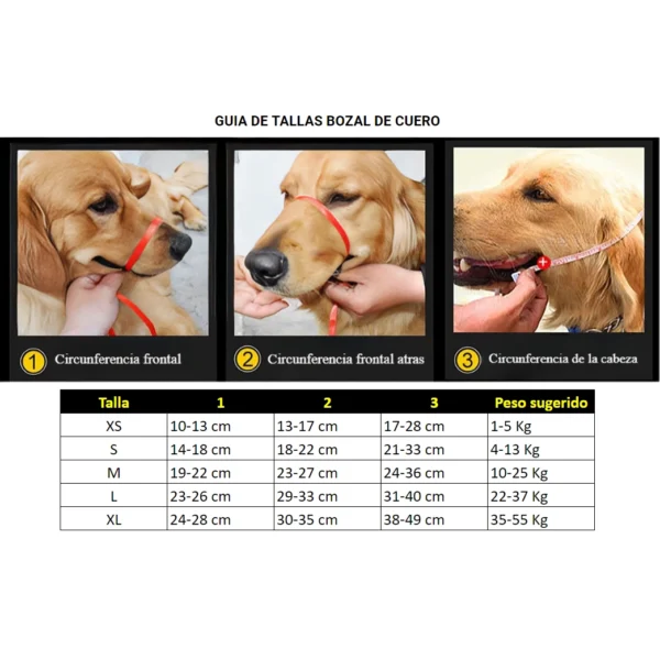 medidas de Bozales de cuero para perros