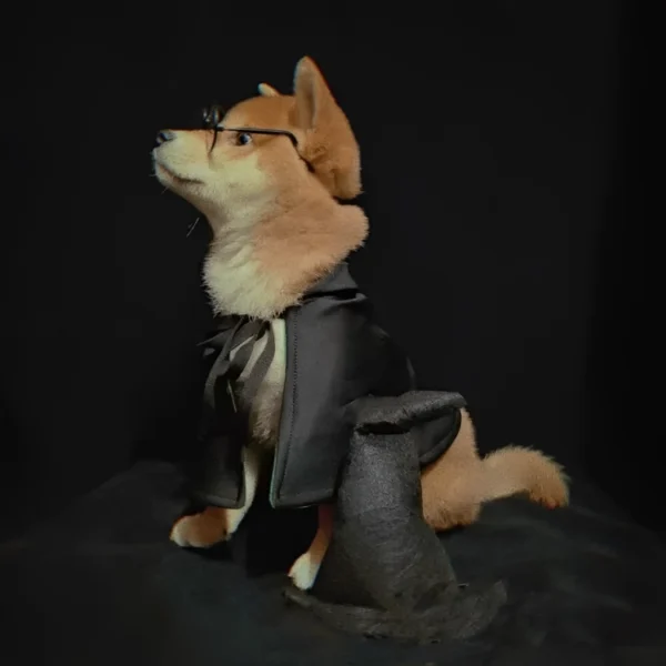 perro con disfraz cosplay de harry potter