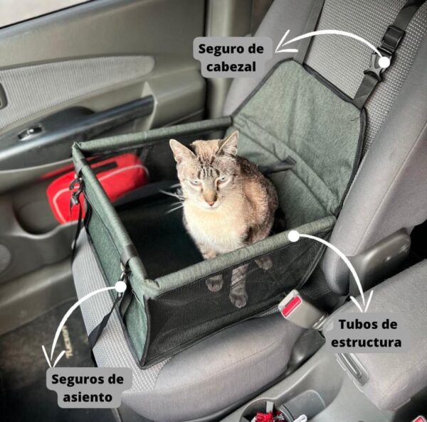 silla de coche para perros y mascotas