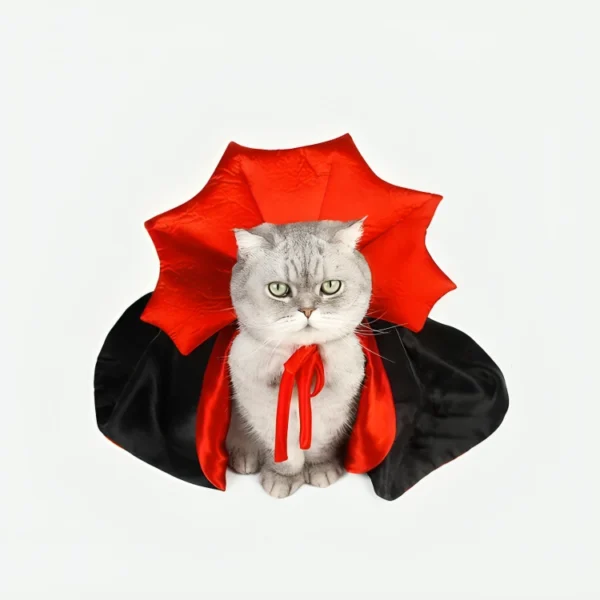 disfraz de vampiro dracula para gatos