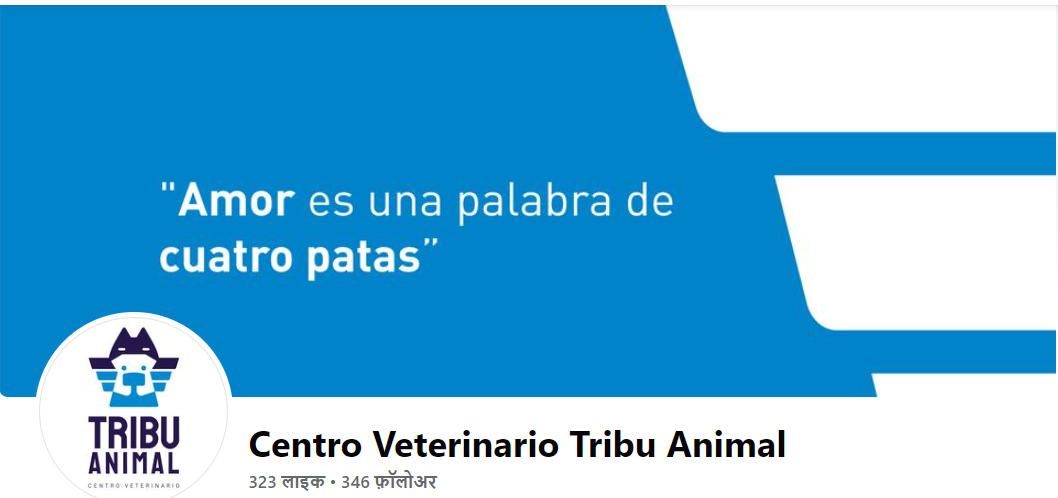 centro veterinario tribu animal medellin