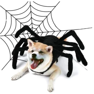 disfraces de araña para perros y gatos