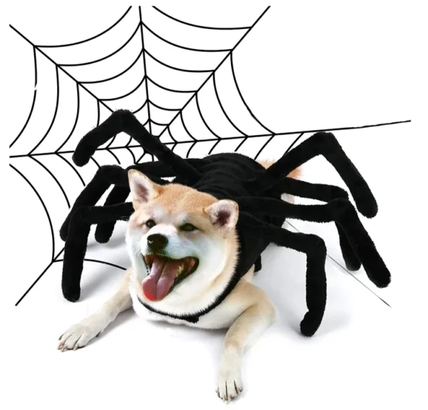 disfraces de araña para perros y gatos