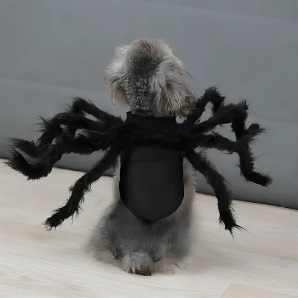 perro disfrazado de araña