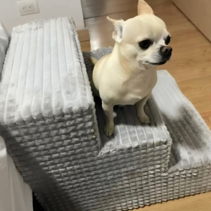 Escalera para Perros para Subir a la Cama