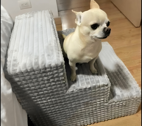 Escalera para Perros para Subir a la Cama