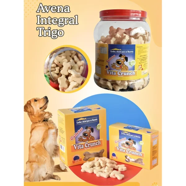 Galletas Naturales de Avena para Perros