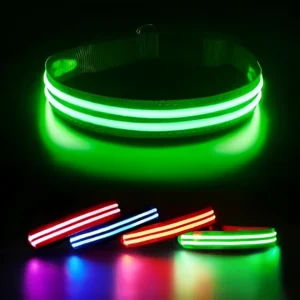 collar led para perros y gatos