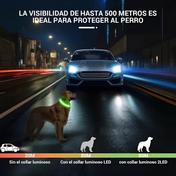 Collar Luz LED para Perro o Gato - Luminoso y recargable USB - Image 2